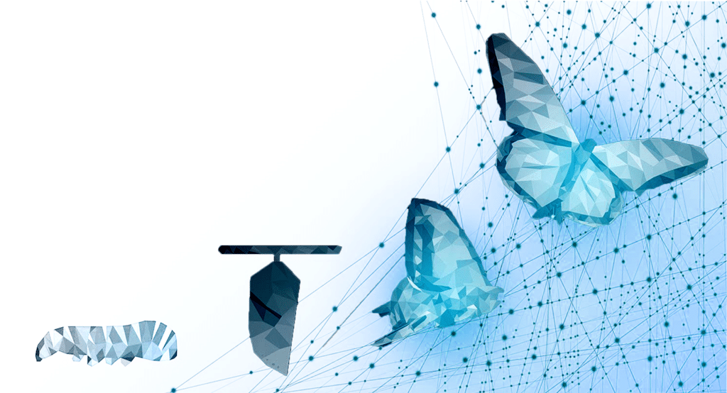 Graphic of caterpillar cocooning and then hatching as a butterfly, representing the stages of digital transformation your business will move through.