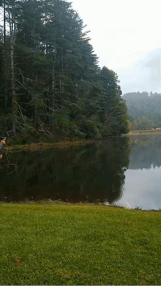 GIF of John casting into the lake at the Pause 2023 conference.