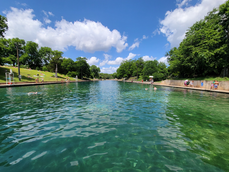 Photograph from the middle of the water at Barton Springs Pool in Austin, Texas.