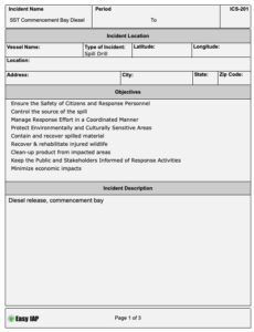 EasyIAP Completed 201 Report